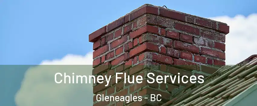  Chimney Flue Services Gleneagles - BC