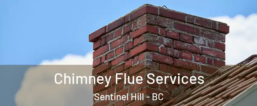  Chimney Flue Services Sentinel Hill - BC