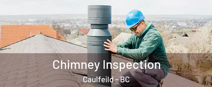  Chimney Inspection Caulfeild - BC