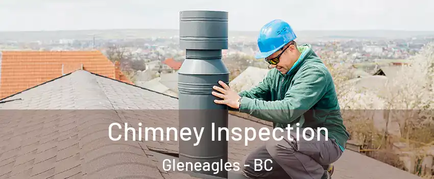  Chimney Inspection Gleneagles - BC
