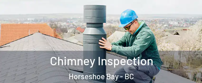  Chimney Inspection Horseshoe Bay - BC