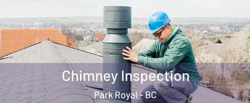  Chimney Inspection Park Royal - BC