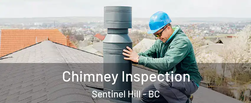  Chimney Inspection Sentinel Hill - BC
