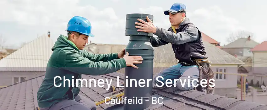  Chimney Liner Services Caulfeild - BC