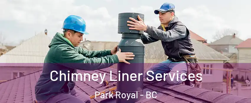  Chimney Liner Services Park Royal - BC