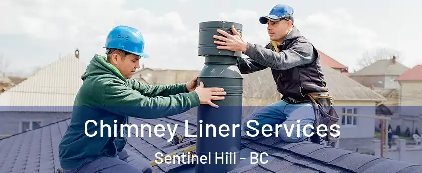 Chimney Liner Services Sentinel Hill - BC