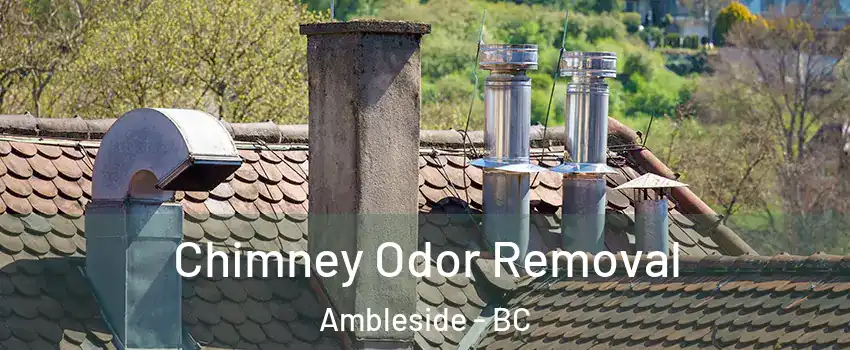  Chimney Odor Removal Ambleside - BC