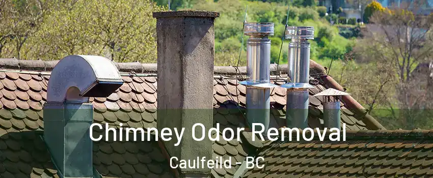  Chimney Odor Removal Caulfeild - BC