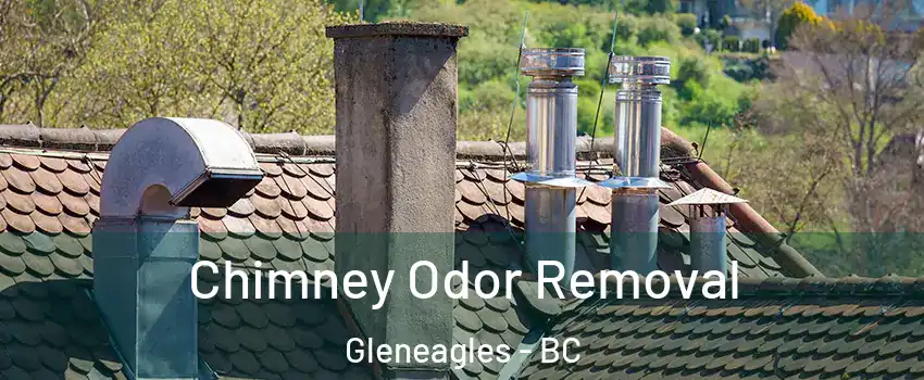  Chimney Odor Removal Gleneagles - BC