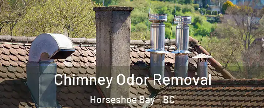  Chimney Odor Removal Horseshoe Bay - BC