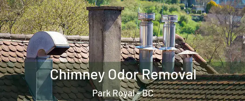  Chimney Odor Removal Park Royal - BC