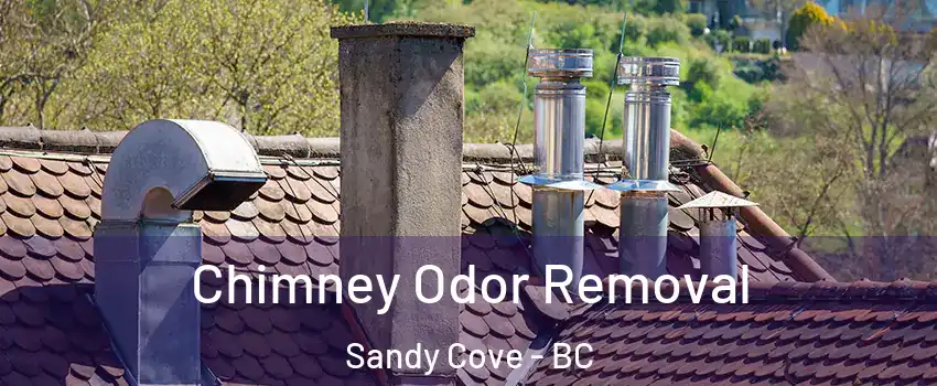  Chimney Odor Removal Sandy Cove - BC