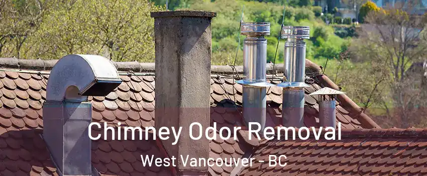  Chimney Odor Removal West Vancouver - BC