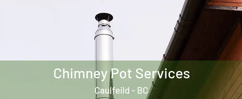  Chimney Pot Services Caulfeild - BC
