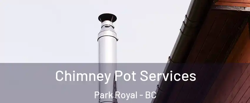  Chimney Pot Services Park Royal - BC