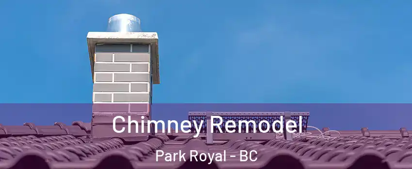  Chimney Remodel Park Royal - BC