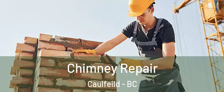  Chimney Repair Caulfeild - BC