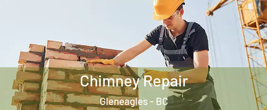  Chimney Repair Gleneagles - BC