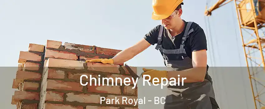  Chimney Repair Park Royal - BC