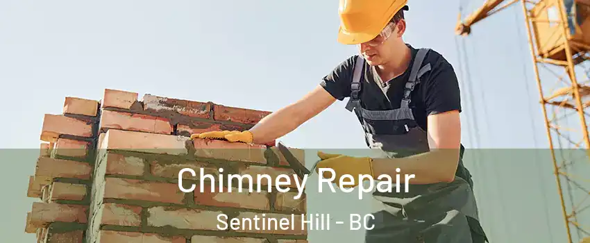  Chimney Repair Sentinel Hill - BC