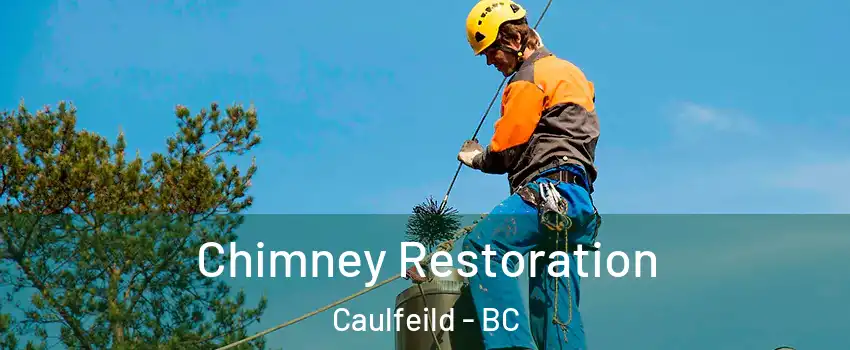  Chimney Restoration Caulfeild - BC