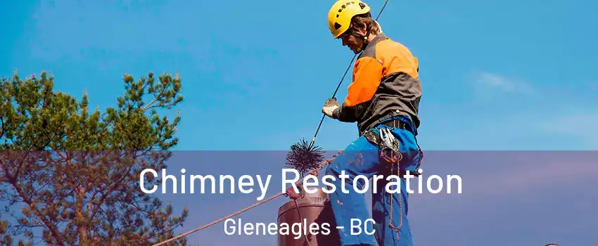  Chimney Restoration Gleneagles - BC