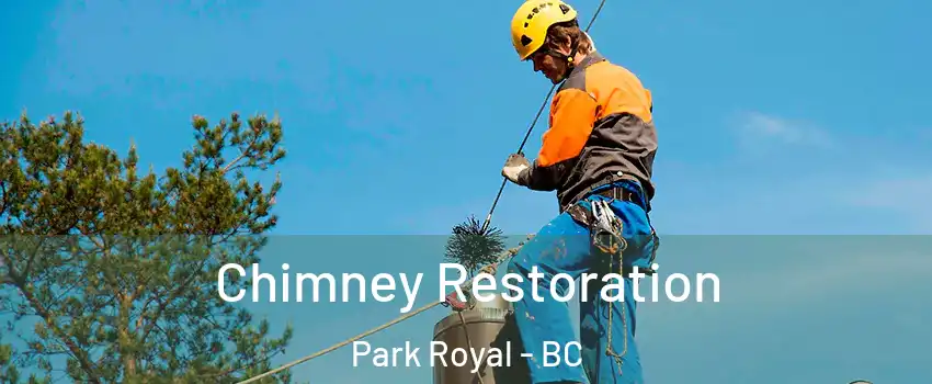  Chimney Restoration Park Royal - BC