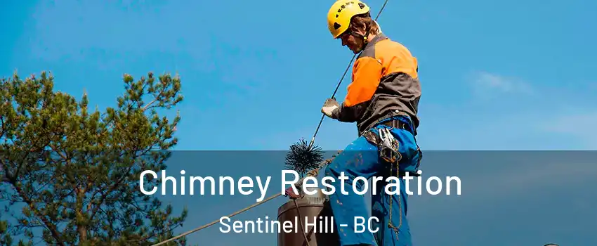  Chimney Restoration Sentinel Hill - BC