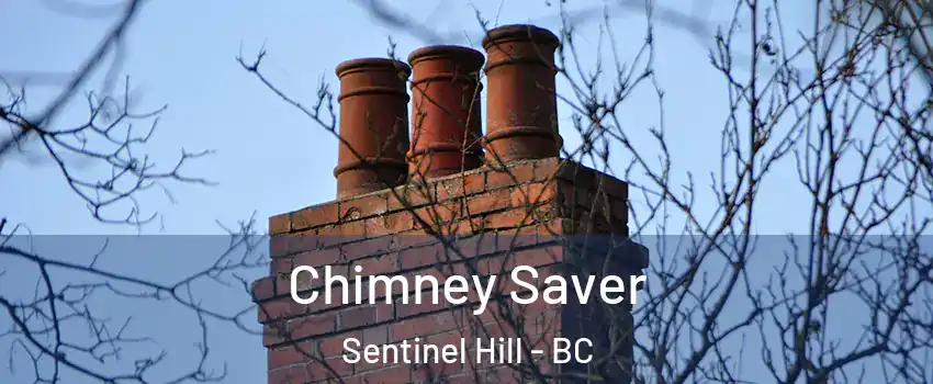  Chimney Saver Sentinel Hill - BC