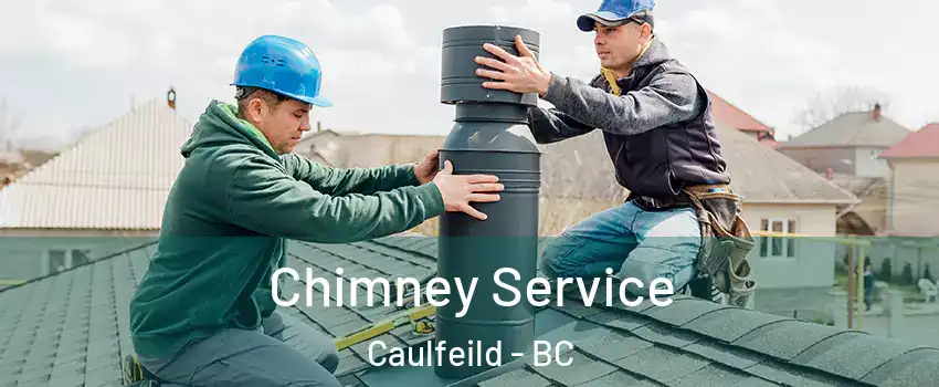 Chimney Service Caulfeild - BC