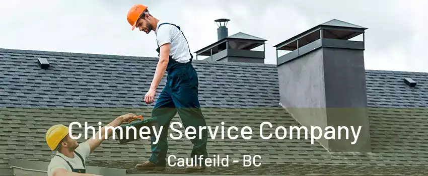  Chimney Service Company Caulfeild - BC