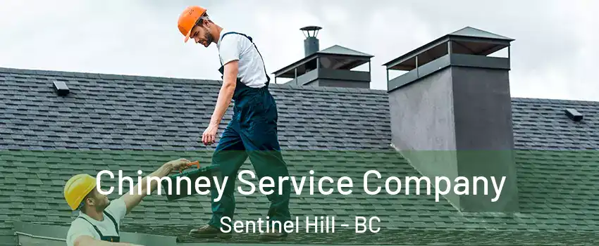  Chimney Service Company Sentinel Hill - BC