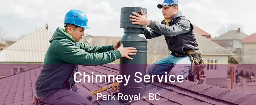  Chimney Service Park Royal - BC