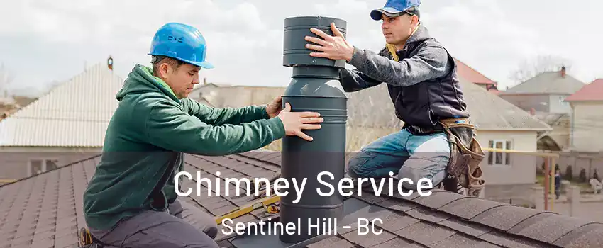  Chimney Service Sentinel Hill - BC
