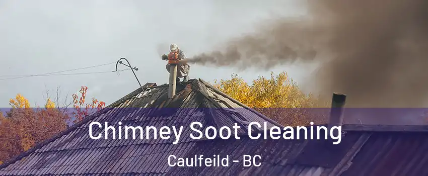  Chimney Soot Cleaning Caulfeild - BC