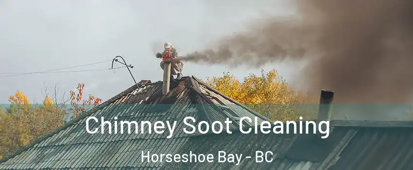  Chimney Soot Cleaning Horseshoe Bay - BC
