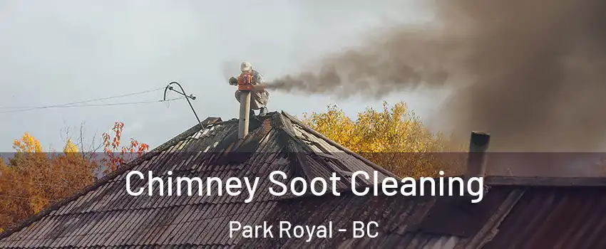  Chimney Soot Cleaning Park Royal - BC