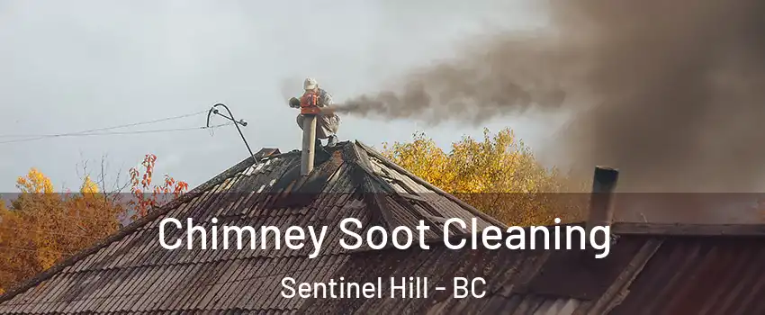  Chimney Soot Cleaning Sentinel Hill - BC