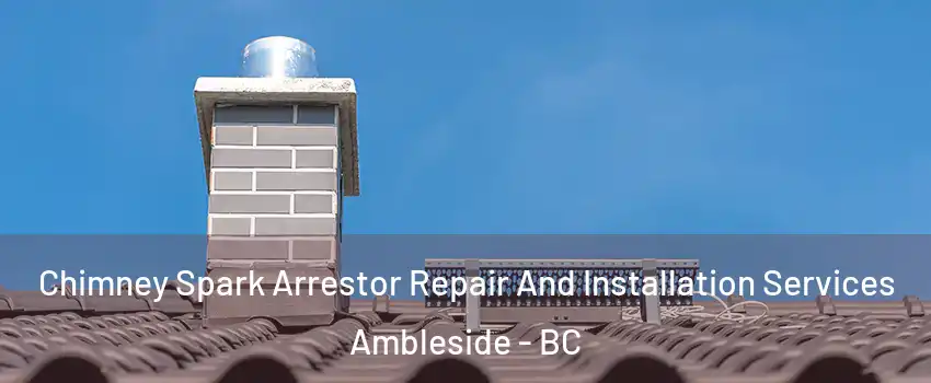  Chimney Spark Arrestor Repair And Installation Services Ambleside - BC