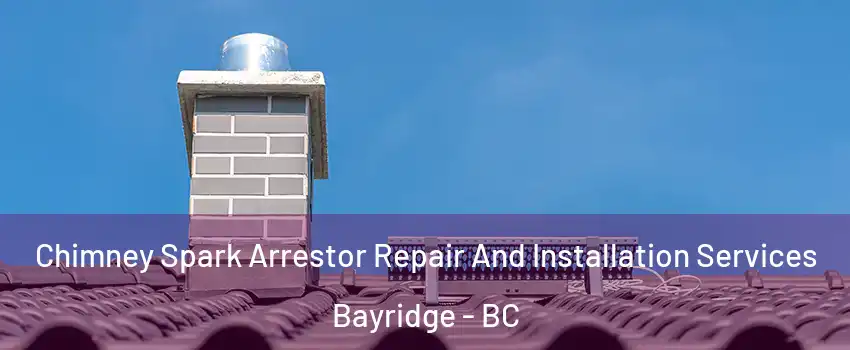  Chimney Spark Arrestor Repair And Installation Services Bayridge - BC