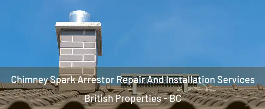  Chimney Spark Arrestor Repair And Installation Services British Properties - BC