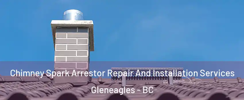  Chimney Spark Arrestor Repair And Installation Services Gleneagles - BC