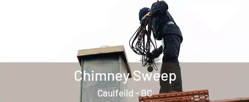  Chimney Sweep Caulfeild - BC