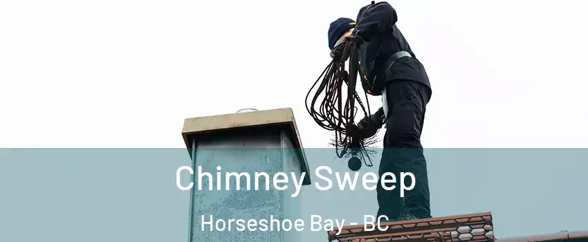  Chimney Sweep Horseshoe Bay - BC
