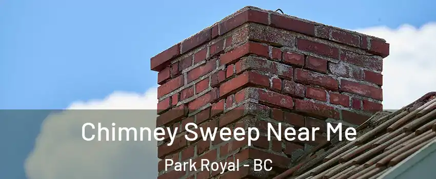  Chimney Sweep Near Me Park Royal - BC