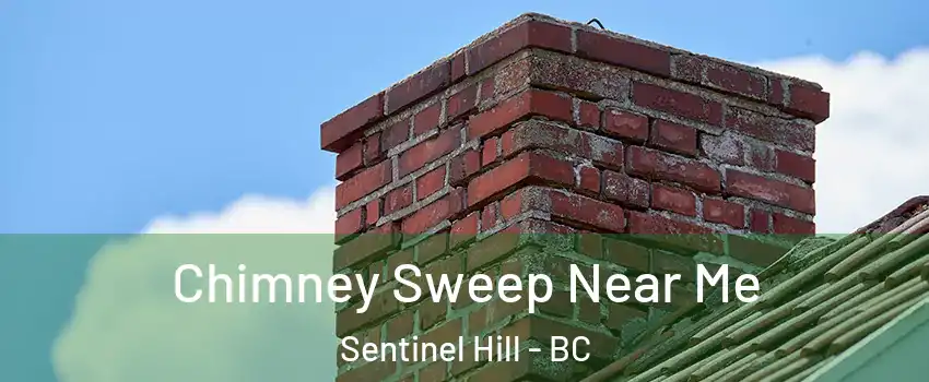  Chimney Sweep Near Me Sentinel Hill - BC