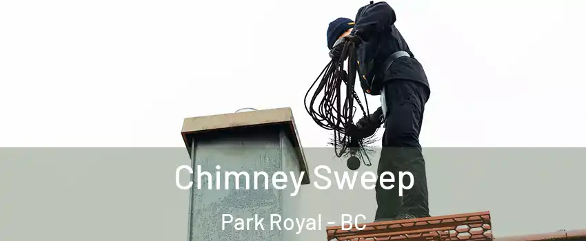  Chimney Sweep Park Royal - BC