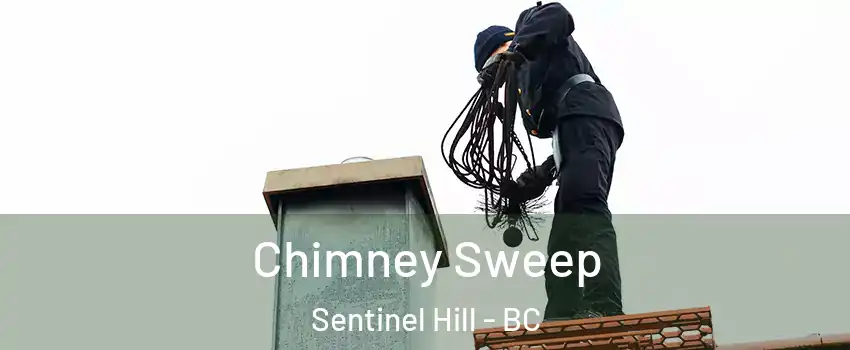  Chimney Sweep Sentinel Hill - BC