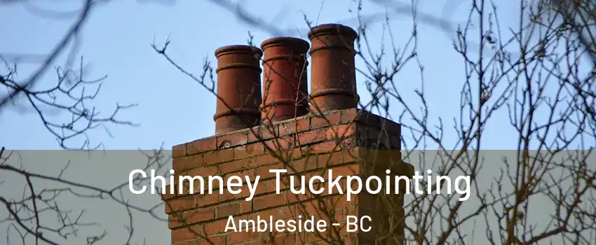  Chimney Tuckpointing Ambleside - BC