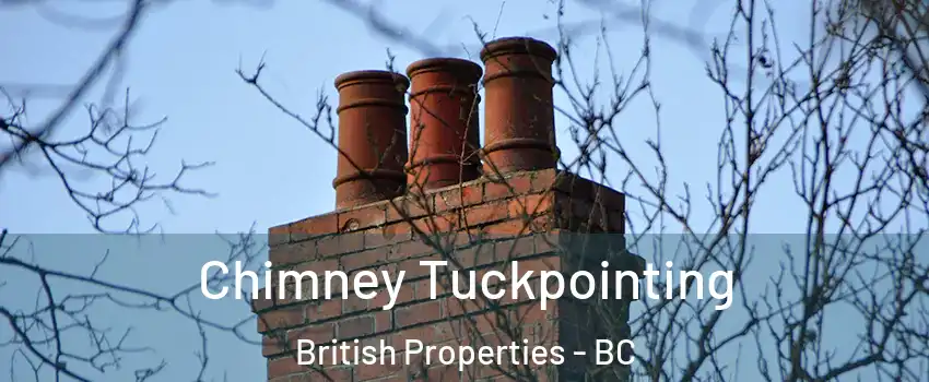  Chimney Tuckpointing British Properties - BC